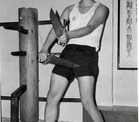 Legado del Patriarca Moy Yat