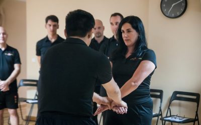 Wing Tsun Madrid